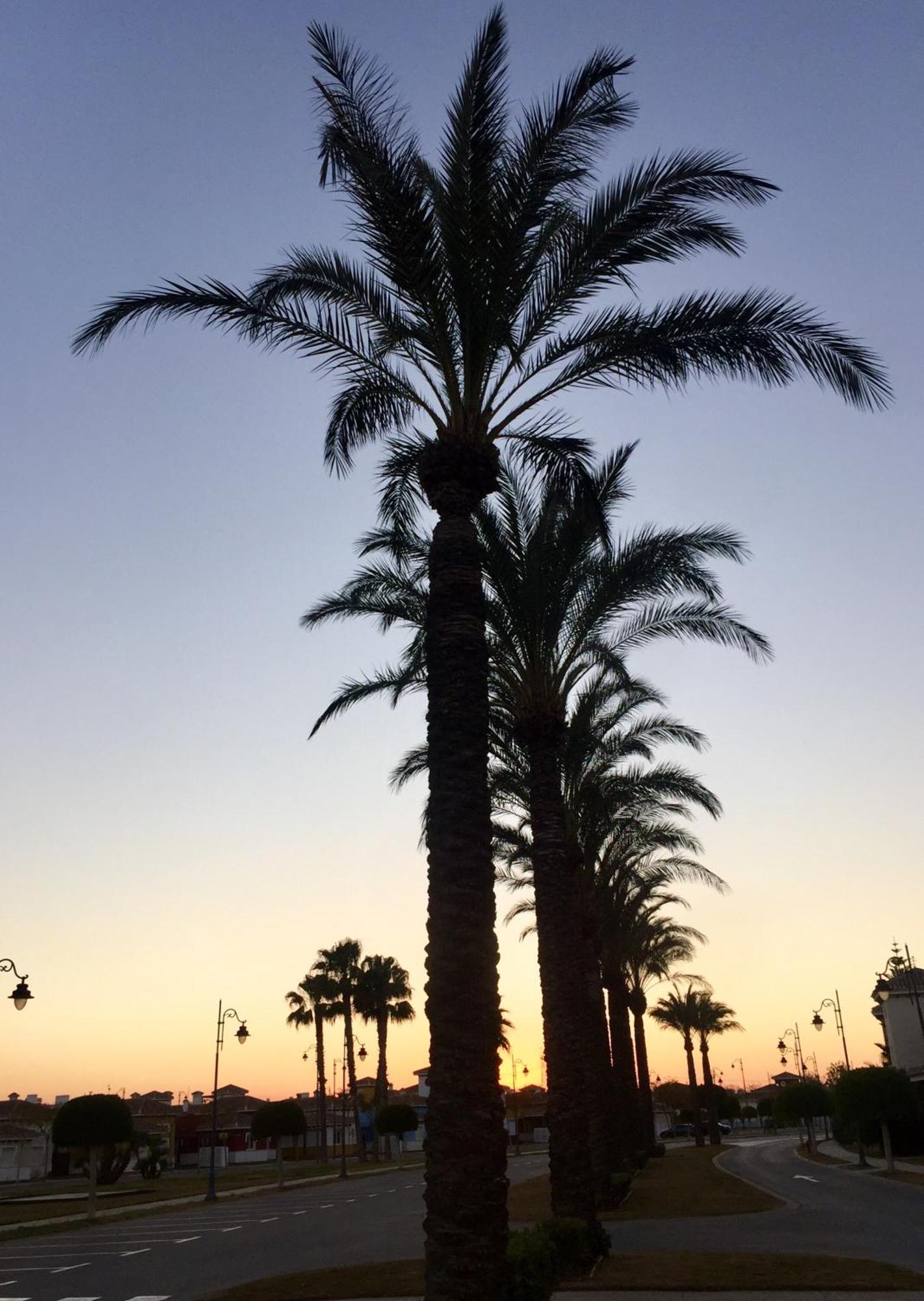 Zeer Trendy Penthouse Op De Mar Menor Golf & Padel Resort Torre-Pacheco Exterior foto